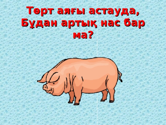 Төрт аяғы астауда,  Бұдан артық нас бар ма?