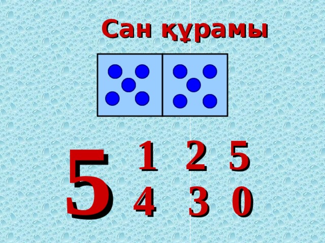 Сан құрамы 5 5 2 1 4 0 3