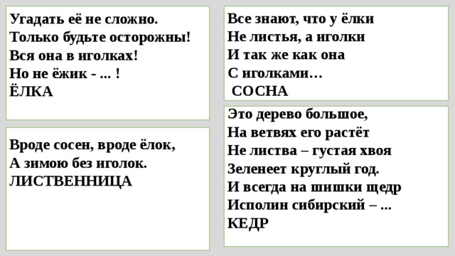 Угадать её не сложно.  Только будьте осторожны!  Вся она в иголках!  Но не ёжик - ... !  Все знают, что у ёлки Не листья, а иголки ЁЛКА  И так же как она С иголками…  СОСНА Это дерево большое, На ветвях его растёт Не листва – густая хвоя Зеленеет круглый год. И всегда на шишки щедр Исполин сибирский – ... КЕДР  Вроде сосен, вроде ёлок,   А зимою без иголок. ЛИСТВЕННИЦА