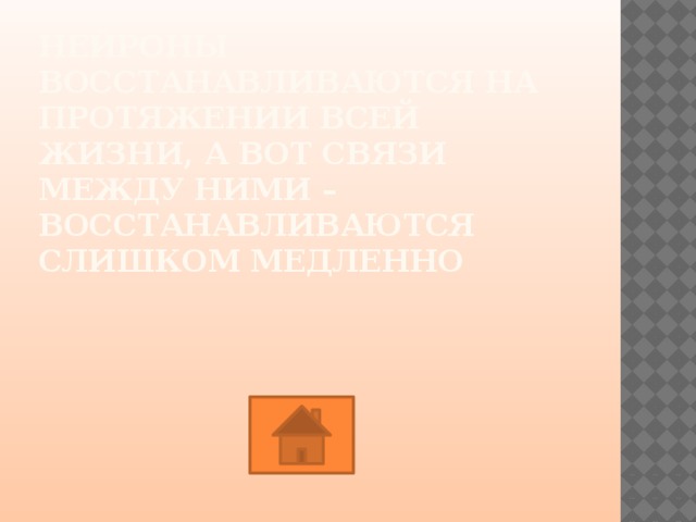 Нейроны восстанавливаются на протяжении всей жизни, а вот связи между ними – восстанавливаются слишком медленно