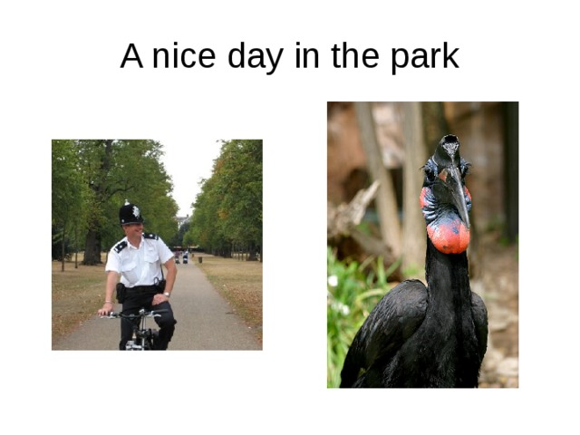 A nice day in the park