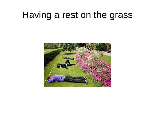 Having a rest on the grass
