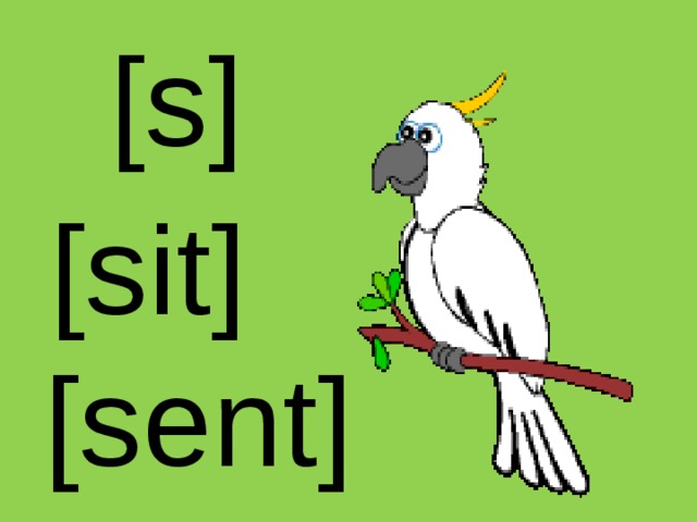 [s] [sit] [sent]