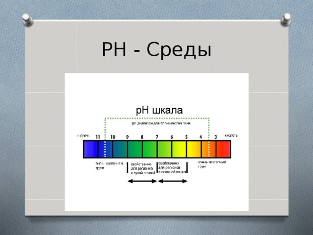 РН - Среды