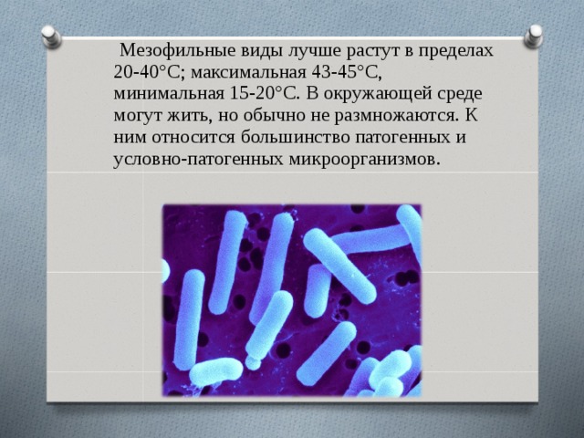 Мезофильные виды лучше растут в пределах 20-40°С; максимальная 43-45°С, минимальная 15-20°С. В окружающей среде могут жить, но обычно не размножаются. К ним относится большинство патогенных и условно-патогенных микроорганизмов.