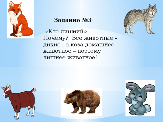 Задание №3  «Кто лишний» Почему? Все животные – дикие , а коза домашнее животное – поэтому лишнее животное!