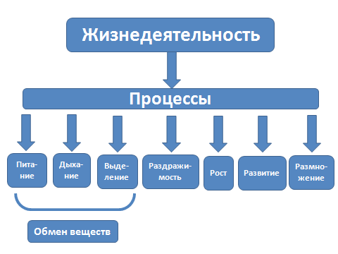 Классы процессов. Питы процессов.