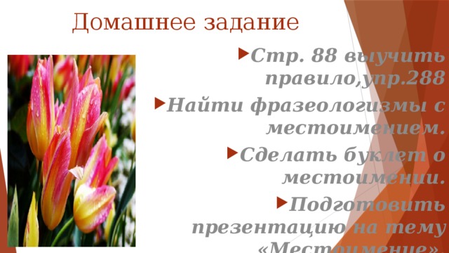 Домашнее задание Стр. 88 выучить правило,упр.288 Найти фразеологизмы с местоимением. Сделать буклет о местоимении. Подготовить презентацию на тему «Местоимение».