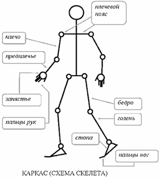 Схема человека. Скелет человека схема. Схема человека в движении. Каркас тела человека.