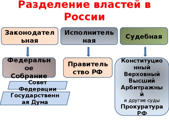 Органы государственной власти система разделения властей