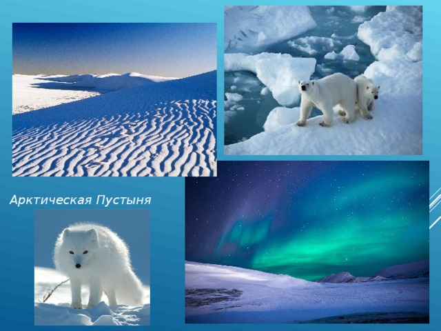 Арктическая Пустыня