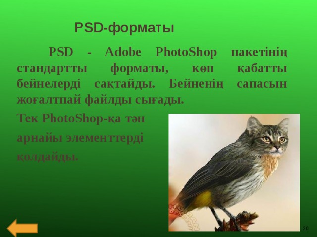 PSD-форматы  PSD - Adobe PhotoShop пакетінің стандартты форматы, көп қабатты бейнелерді сақтайды. Бейненің сапасын жоғалтпай файлды сығады. Тек PhotoShop-қа тән арнайы элементтерді қолдайды.