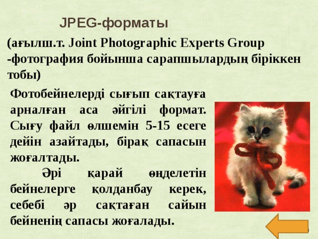 JPEG-форматы (ағылш.т. Joint Photographic Experts Group -фотография бойынша сарапшылардың біріккен тобы) Фотобейнелерді сығып сақтауға арналған аса әйгілі формат. Сығу файл өлшемін 5-15 есеге дейін азайтады, бірақ сапасын жоғалтады.  Әрі қарай өңделетін бейнелерге қолданбау керек, себебі әр сақтаған сайын бейненің сапасы жоғалады.