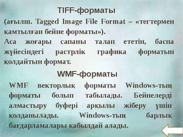 ТIFF-форматы (ағылш. Tagged Image File Format – «тегтермен қамтылған бейне форматы»). Аса жоғары сапаны талап ететін, баспа жүйесіндегі растрлік графика форматын қолдайтын формат. WMF-форматы WMF векторлық форматы Windows -тың форматы болып табылады. Бейнелерді алмастыру буфері арқылы жіберу үшін қолданылады. Windows -тың барлық бағдарламалары қабылдай алады.