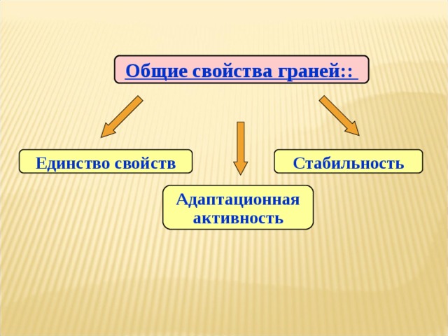 Общие свойства граней:: Единство свойств Стабильность Адаптационная активность