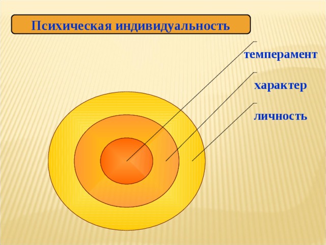 Психическая индивидуальность темперамент характер личность