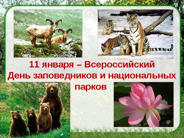 11 января – Всероссийский День заповедников и национальных парков