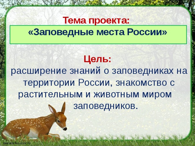 Тема проекта:  «Заповедные места России» Цель:  расширение знаний о заповедниках  на территории России, знакомство с растительным и животным миром  заповедников.