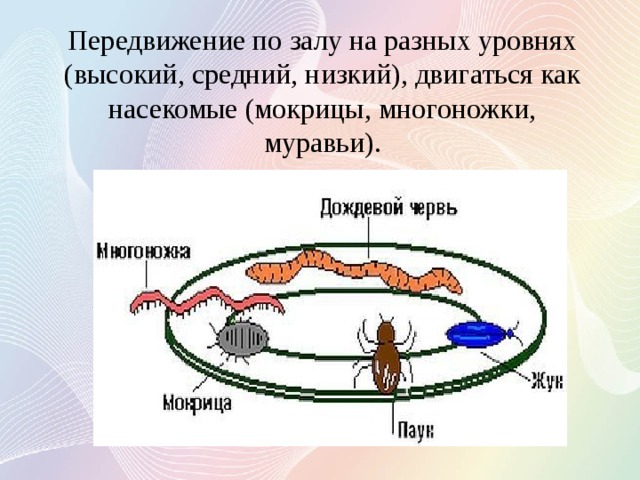 Передвижение по залу на разных уровнях (высокий, средний, низкий), двигаться как насекомые (мокрицы, многоножки, муравьи).