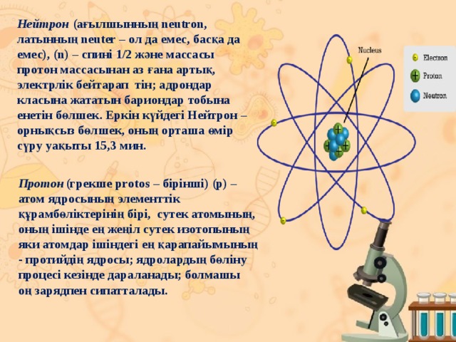 Нейтрон  (ағылшынның neutron, латынның neuter – ол да емес, басқа да емес), (n) – спині 1/2 және массасы  протон массасынан аз ғана артық, электрлік бейтарап  тін; адрондар класына жататын бариондар тобына енетін бөлшек. Еркін күйдегі Нейтрон – орнықсыз бөлшек, оның орташа өмір сүру уақыты 15,3 мин. Протон  (грекше prоtos – бірінші) (р) –атом ядросының элементтік құрамбөліктерінің бірі,  сутек атомының, оның ішінде ең жеңіл сутек изотопының яки атомдар ішіндегі ең қарапайымының - протийдің ядросы; ядролардың бөліну процесі кезінде дараланады; болмашы оң зарядпен сипатталады .
