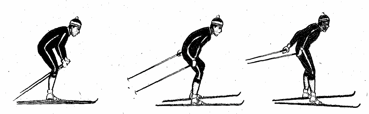 Согласованность движений 11 букв. Стойки лыжника. Основная стойка лыжника. Основная стойка лыжника без лыж. Стойка лыжника гонщика.