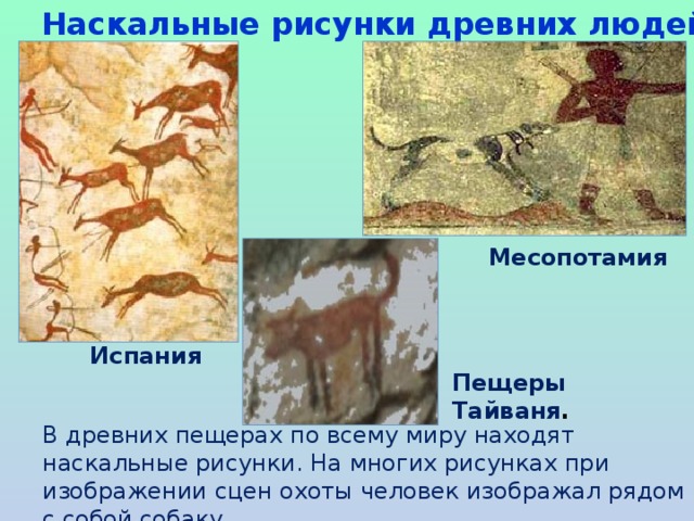 Наскальные рисунки древних людей Месопотамия Испания Пещеры Тайваня . В древних пещерах по всему миру находят наскальные рисунки. На многих рисунках при изображении сцен охоты человек изображал рядом с собой собаку.