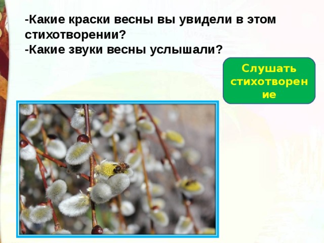 -Какие краски весны вы увидели в этом стихотворении? -Какие звуки весны услышали? Слушать стихотворение