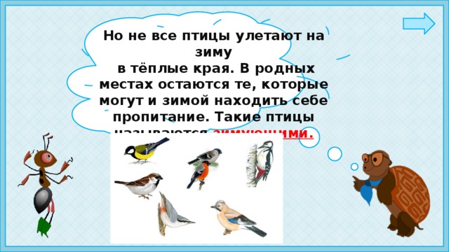 Но не все птицы улетают на зиму  в тёплые края. В родных местах остаются те, которые могут и зимой находить себе пропитание. Такие птицы называются зимующими.