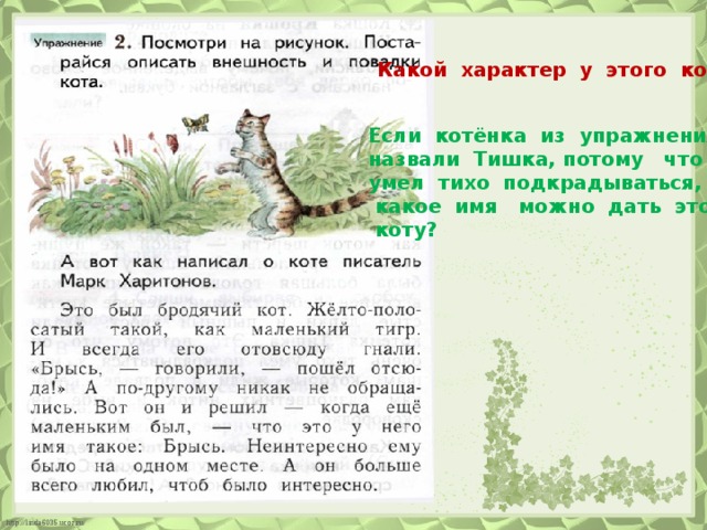 Какой характер у этого кота? Если котёнка из упражнения 1 назвали Тишка, потому что он умел тихо подкрадываться,  какое имя можно дать этому  коту?