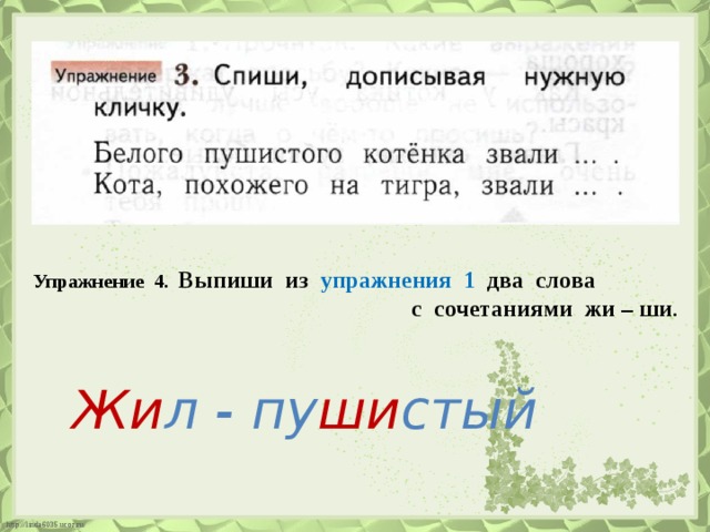 Упражнение 4. Выпиши из упражнения 1 два слова  с сочетаниями жи – ши . Жи л - пу ши стый