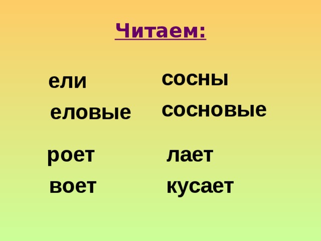 Читаем: сосны сосновые  ели  еловые  роет  воет лает кусает