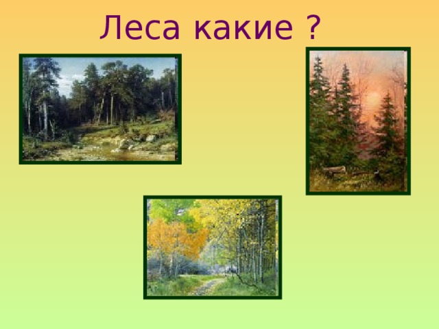 Леса какие ?