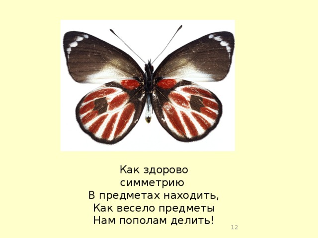 Как здорово симметрию В предметах находить, Как весело предметы Нам пополам делить!