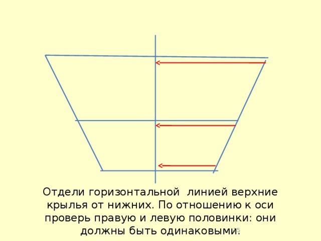 Отдели горизонтальной линией верхние крылья от нижних. По отношению к оси проверь правую и левую половинки: они должны быть одинаковыми.