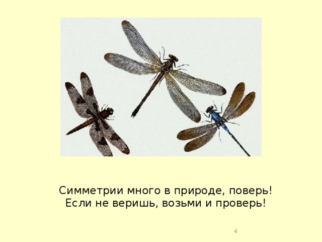 Симметрии много в природе, поверь! Если не веришь, возьми и проверь!