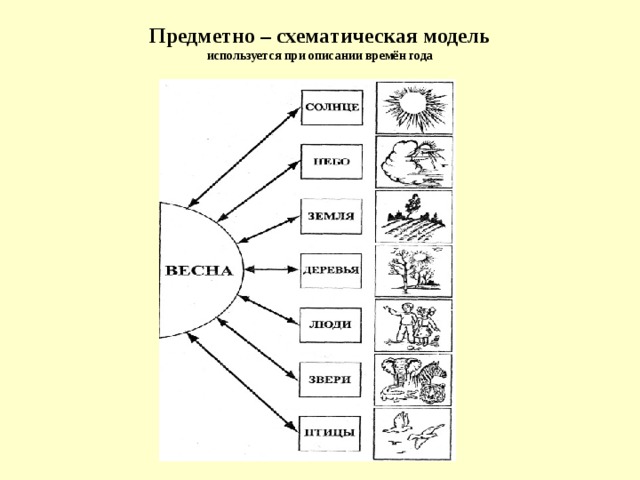 Главные признаки зверей схематический