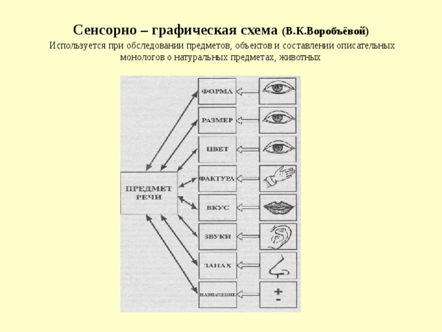 Сенсорно – графическая схема (В.К.Воробъёвой)   Используется при обследовании предметов, объектов и составлении описательных монологов о натуральных предметах, животных