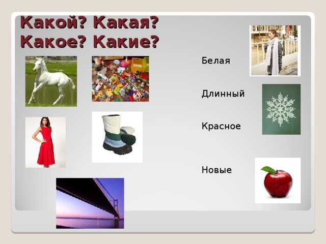 Какой? Какая?  Какое? Какие? Белая Длинный Красное Новые