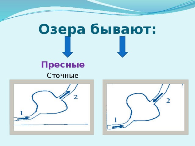 Озера бывают: Пресные Соленые Сточные Бессточные (о.Эльтон