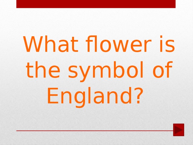 What flower is the symbol of England?