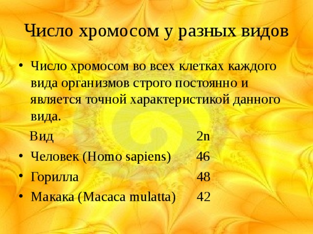 Число хромосом у разных видов Число хромосом во всех клетках каждого вида организмов строго постоянно и является точной характеристикой данного вида.  Вид  2n