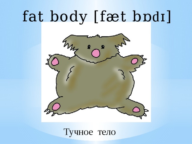 fat body [fæt b ɒdɪ ] Тучное тело