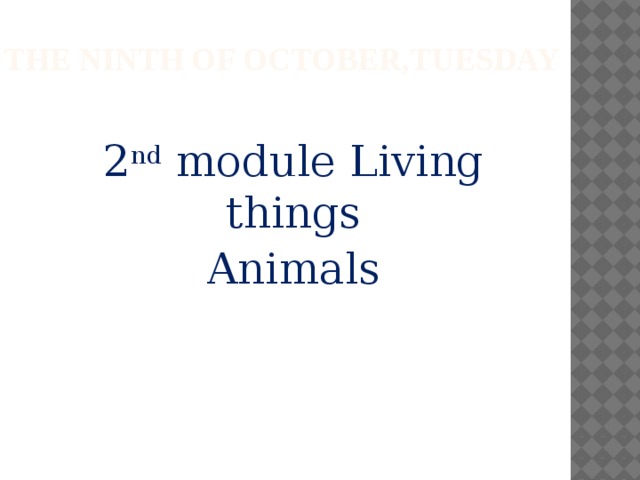 The ninth of October,Tuesday   2 nd module Living things Animals