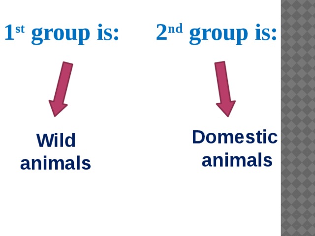 1 st group is: 2 nd group is: Domestic animals Wild animals