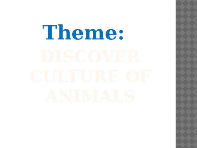 Theme: Discover culture of animals