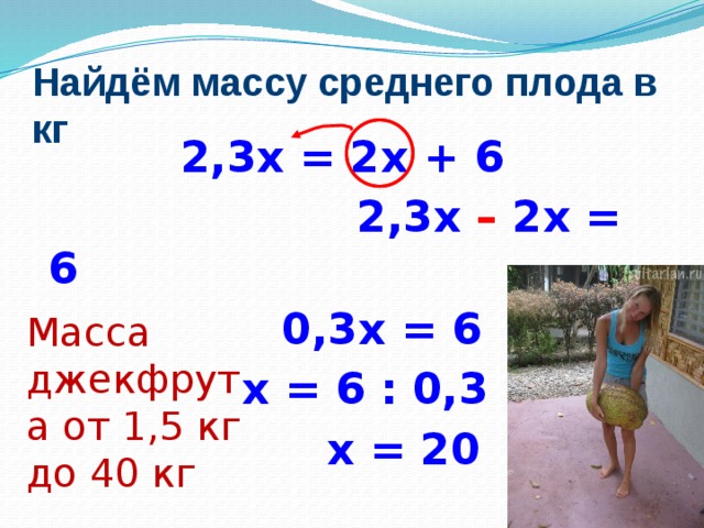 Найдём массу среднего плода в кг 2,3х = 2х + 6  2,3х – 2х = 6  0,3х = 6  х = 6 : 0,3  х = 20 Масса джекфрута от 1,5 кг до 40 кг