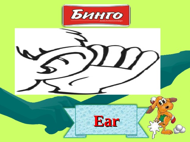 Ear