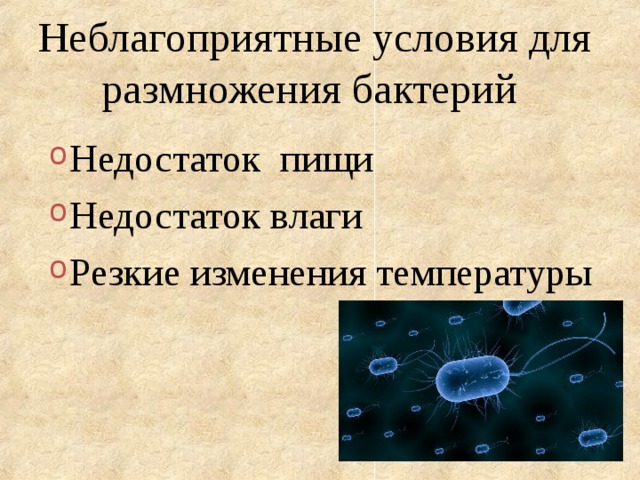 3 группа Назовите неблагоприятные условия для размножения бактерий. Как называется особое состояние бактерии в неблагоприятных условиях?