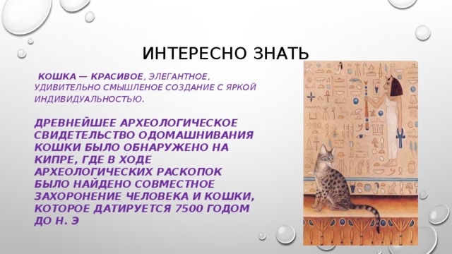 Интересно знать  Кошка — красивое , элегантное, удивительно смышленое создание с яркой индивидуальностью .   Древнейшее археологическое свидетельство одомашнивания кошки было обнаружено на Кипре, где в ходе археологических раскопок было найдено совместное захоронение человека и кошки, которое датируется 7500 годом до н. э