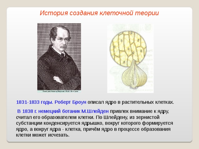 История создания клеточной теории 1831-1833 годы. Роберт Броун описал ядро в растительных клетках.  В 1838 г. немецкий ботаник М.Шлейден привлек внимание к ядру, считал его образователем клетки. По Шлейдену, из зернистой субстанции конденсируется ядрышко, вокруг которого формируется ядро, а вокруг ядра - клетка, причём ядро в процессе образования клетки может исчезать.
